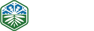 site logo